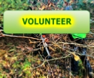 Volunteer Portal