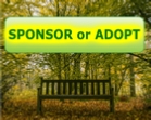 Support our Woodland